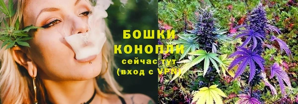 трава Верея