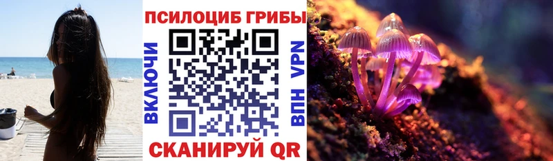 хочу наркоту  Северск  мега ссылка  Псилоцибиновые грибы MAGIC MUSHROOMS 